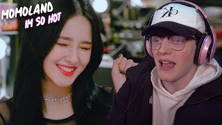 MOMOLAND Im So Hot MV Reaction 모모랜드 [upl. by Groome988]