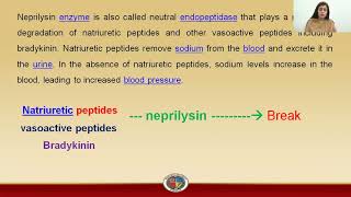 How do neprilysin inhibitors work [upl. by Adolfo558]