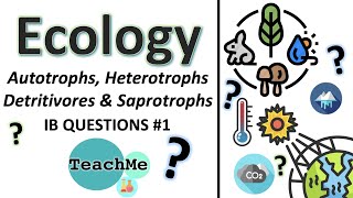 41  IB QUESTIONS 1  Autotrophs Heterotrophs etc  IB Biology  TeachMe [upl. by Melborn]