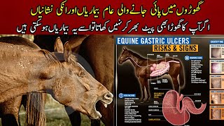 Horse Colic symptoms  Diarrhea in Horses  Most common health problems in horses and treatment [upl. by Trevar945]