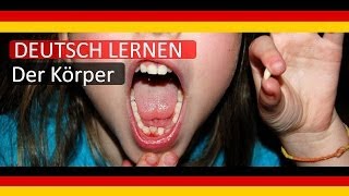 5 LEARN GERMAN BODY LERNE DEUTSCH DER KÖRPER [upl. by Ttegirb]