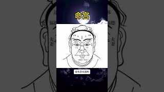 命宫 面相 传统文化physiognomy [upl. by Elgar]