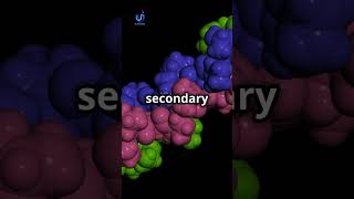 Protein Structure amp Function ✨ 🧬 Biochemistry Proteins shorts ProteinStructure ScienceShorts [upl. by Nerhe459]