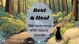 LoFi to Rest amp Heal  285hz Solfeggio Tone for Body Healing  Nature Sounds [upl. by Edholm]