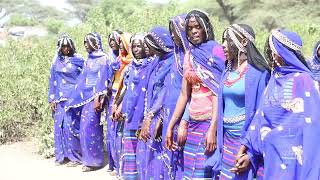 Qafar Seyoo Eide afar Beautiful cultural dance 2024 ethiopian culturaldance [upl. by Ashton]