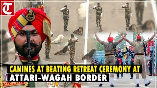 Canines steal the show at Independence Day beating retreat ceremony at AttariWagah border [upl. by Mirelle]