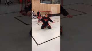 Goaliepractise Målvaktsträning innebandy [upl. by Nirroc]