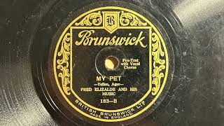 My Pet  Fred Elizalde And His Music  Brunswick 183 [upl. by Eisac]