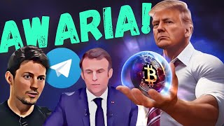 Tonchain awaria Trump Bitcoin Altcoiny newsy [upl. by Odysseus]