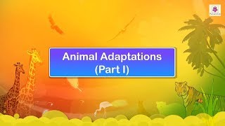 Animal Adaptations  Science Video For Kids  Periwinkle [upl. by Dao]