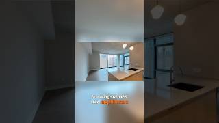 One Bedroom Apartment for Rent in Chicago Illinois  Apartment Hunting w Chicago Leasing Company [upl. by Nnylaj371]