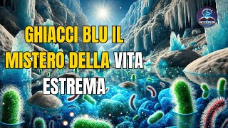 Ghiacci Blu Il Mistero della Vita Estrema  Scoperte Incredibili sulla Sopravvivenza al Freddo [upl. by Emor618]