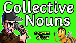 Collective Nouns  Rap Song [upl. by Annuahs]