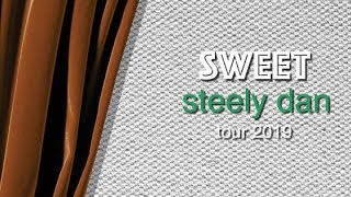 Steely Dan quotSign In Strangerquot Live Sweet Tour 2019  The Pechanga Theater [upl. by Adnertal]