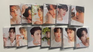 Dear Lord ㅋㅋㅋ  Seventeen 17 Is Right Here DearCarat Version Unboxing all 13 versions [upl. by Nasho]