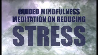 Guided Mindfulness Meditation on Stress  Guided Body Scan  Control Anxiety [upl. by Nagar]