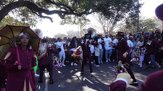 New Orleans Second Line  Dumaine Street Ladies Auxiliary  6th Ward Steppers 2024 [upl. by Billen280]