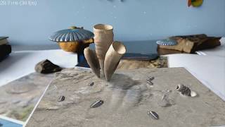 Augmented reality  Cambrian sea [upl. by Notsuh]