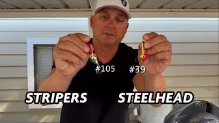 Wigglers For Steelhead amp Stripers Now [upl. by Kin]