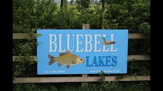 Bluebell Lakes Bream Fishing Episode 3 [upl. by Boynton]