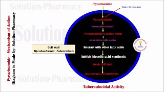 Topic 34 Antitubercular Drug  Pyrazinamide Mechanism of Action  Pyrazinamide Mechanism of Action [upl. by Ursula]