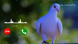 Janam Fida e haideri ringtone Janam Fida e haideri ringtone [upl. by Mart]