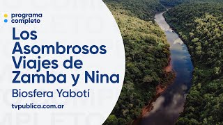 Recorrido por Biosfera Yabotí y Moconá  Los Asombrosos Viajes de Zamba y Nina por la Argentina [upl. by Kristy]