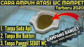 Cara Mengatasi WC MAMPET Jamin BERHASIL 100 TANPA SEDOT WC Tanpa Soda Api [upl. by Pius]