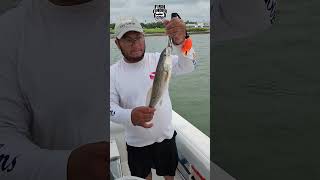 More Catching With Fish Finder murrellsinlet myrtlebeach fishing sharkfishing [upl. by Ycrep]