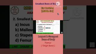 RRB Pharmacist exam preparation notes 2024 Anatomy smallest bone Stapes [upl. by Abehsile]