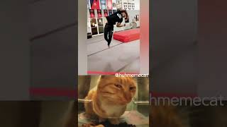 Mewing Cat part11 mewing amazing memes [upl. by Mehalick]