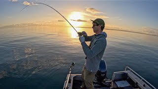 Moreton Bay  Shallow Reef Fishing with BFS Gear [upl. by Wilde]