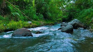 Flowing river sounds for meditation gentle flowing water sound splashing water sound for sleeping [upl. by Greeson908]