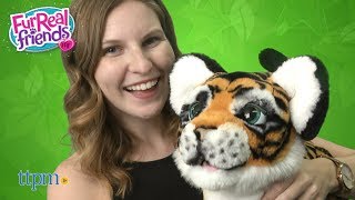 FurReal Roarin Tyler The Playful Tiger from Hasbro [upl. by Petta]