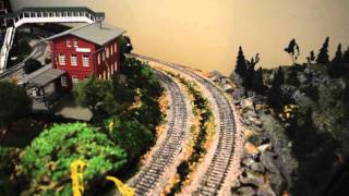 HampD Model Railroad [upl. by Ajssatsan591]