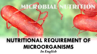 MICROBIAL NUTRITION  Nutritional Requirements of Microorganisms  Macro and Micronutrients English [upl. by Helaina]