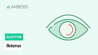 Differentialdiagnostik des Ikterus  AMBOSS Auditor [upl. by Los77]