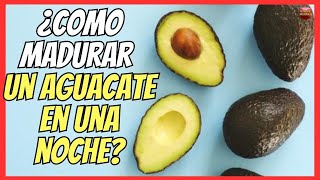 🥑 ¿CÓMO MADURAR UN AGUACATE EN UNA NOCHE 🥑 [upl. by Hartmunn]