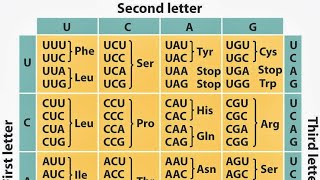 Class 31 Wobble Hypothesis Malayalam [upl. by Erving]