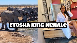 Our Weekend in the Royal Kingdom  Etosha King Nehale  Namibia Safari [upl. by Nashom]