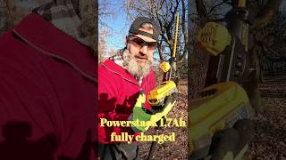 Dewalt DCPH820 hedge trimmer powered by Powerstack 17Ah battery [upl. by Munafo]