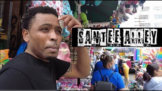 Santee Alley WHAT YOU NEED TO KNOW [upl. by Medardas727]