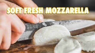 30 Minute Homemade Fresh Mozzarella Cheese [upl. by Nnov]