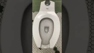 267 EARSPLITTING ProFlo Carlton toilet at Buca di Beppo in Cincinnati Ohio [upl. by Edalb]