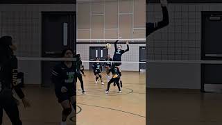 Setters hilarious reaction after middle blocker tips the ball over her head 11 Regency Christian [upl. by Hammerskjold430]