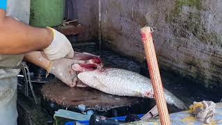 Day Trip to Kampung Pendas Baru Fish Market [upl. by Nyra]