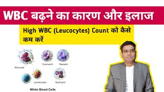 WBC बढ़ने का कारण और ईलाज  High WBC Leucocytes Count Causes and Treatment [upl. by Schluter]