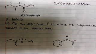 Naming Amides Primary Secondary amp Tertiary Amides [upl. by Parker347]