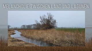 Nationalpark Vorpommersche Boddenlandschaft Melancholie zwischen Land und Lagunen 4K [upl. by Crellen692]