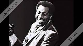 Otis Redding  Ive Been Loving You Too Long  1965 [upl. by Leinehtan]